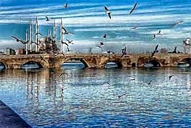 Adana Şehirler arası Nakliyat